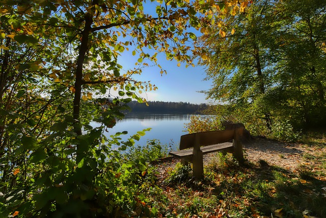 从而实现资 从而实现资