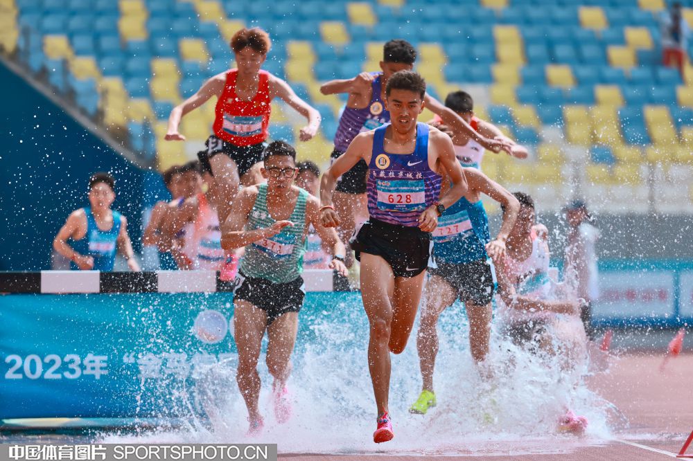 专业指导 专业指导