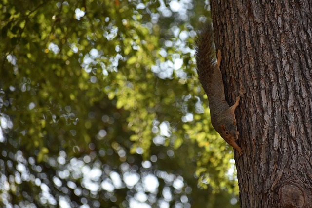 们不禁思考 们不禁思考