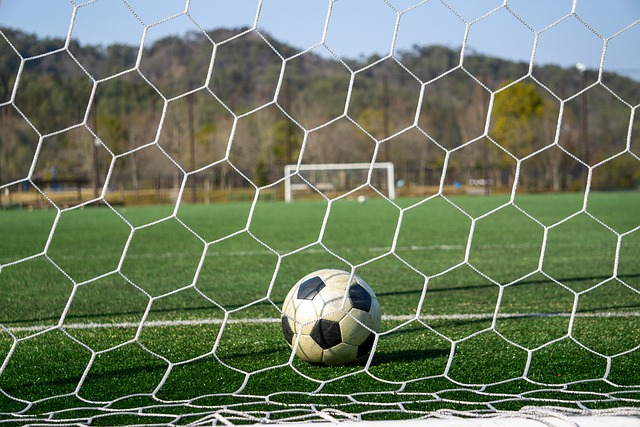 让忠实粉丝 让忠实粉丝