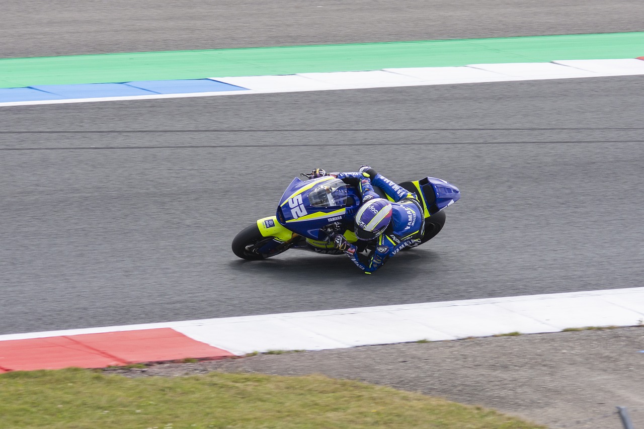 简单的队友 简单的队友