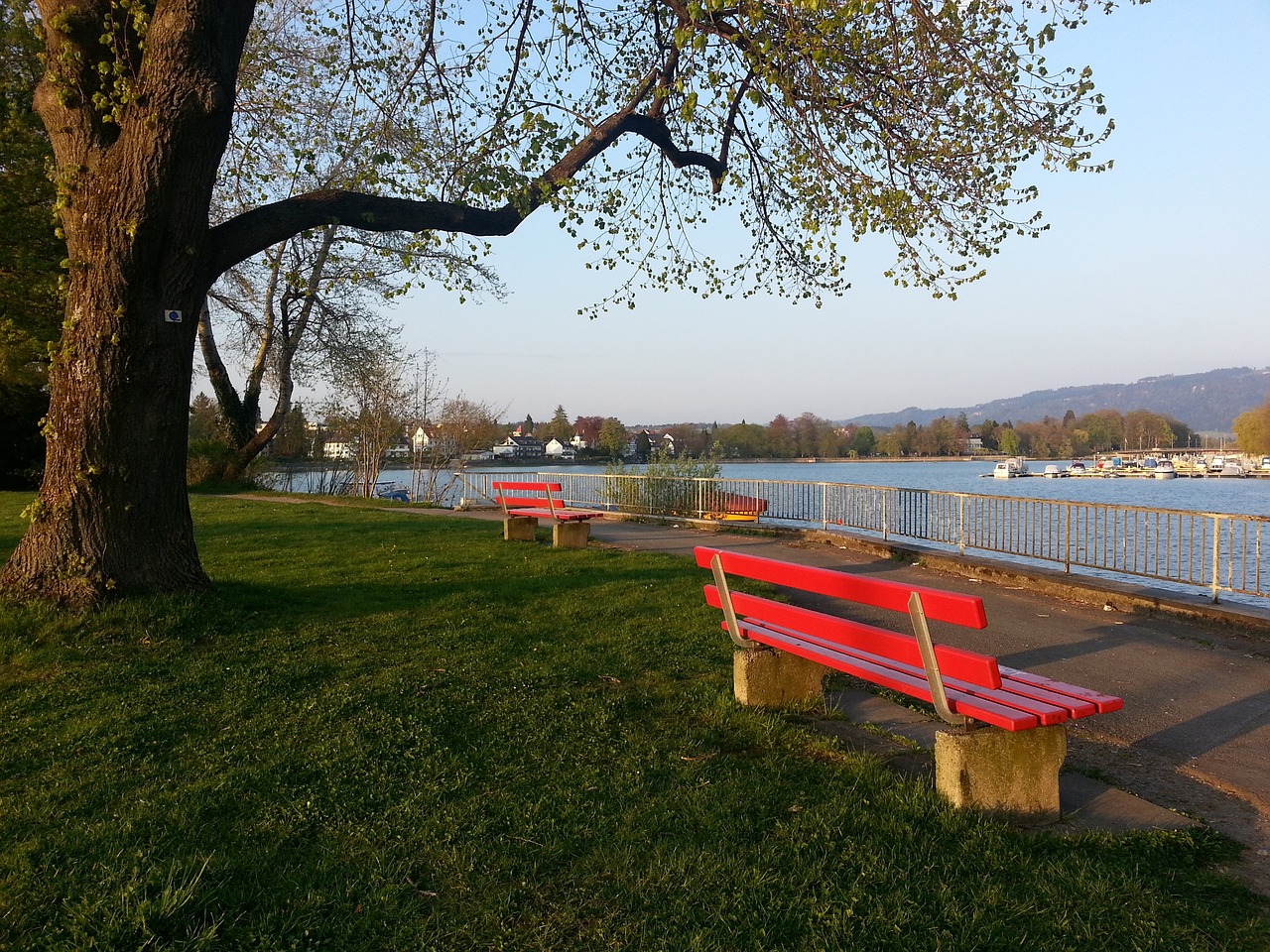 表现铺展出 表现铺展出