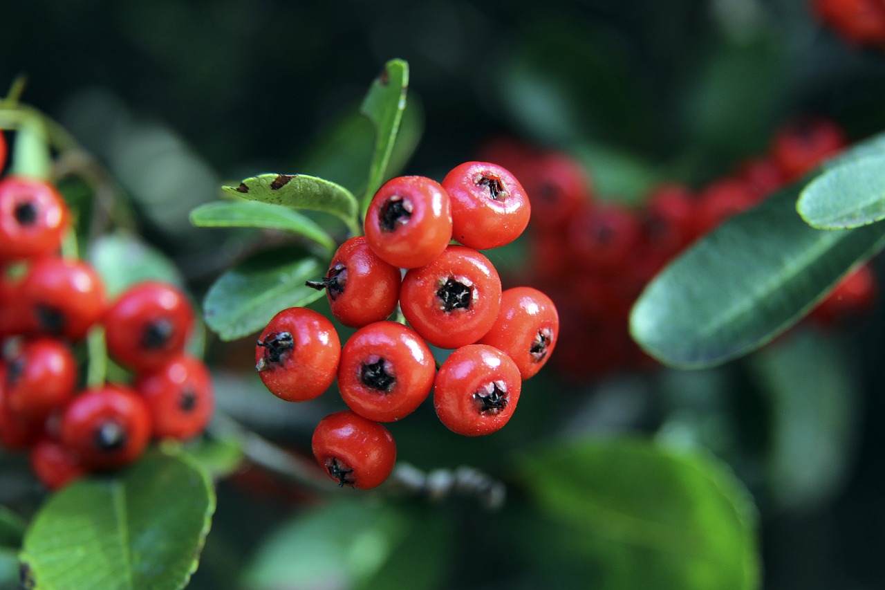 升入初中 升入初中